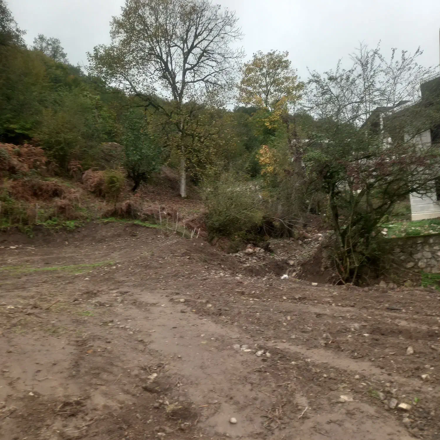 زمین جهت ساخت ویلادربهترین منطقه|فروش زمین و ملک کلنگی|پل سفید, |دیوار