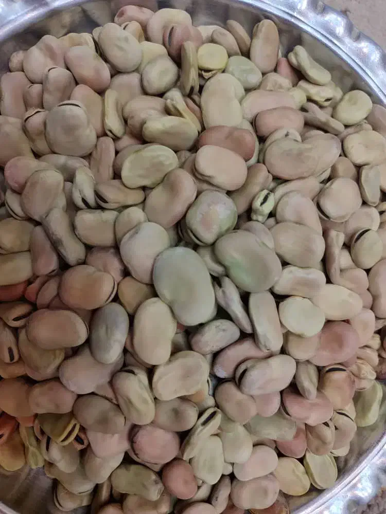 باقلا خشک و درجه یک امسال|خوردنی و آشامیدنی|شیراز, میانرود|دیوار