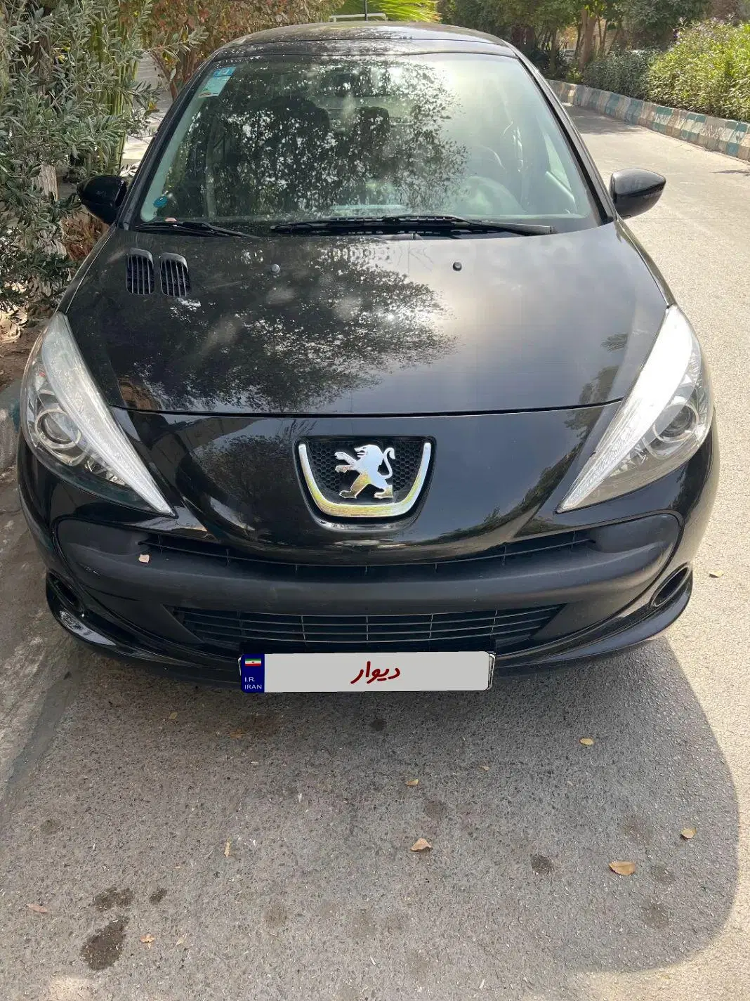 ‌ژو 207|خودرو سواری و وانت|اردکان, |دیوار