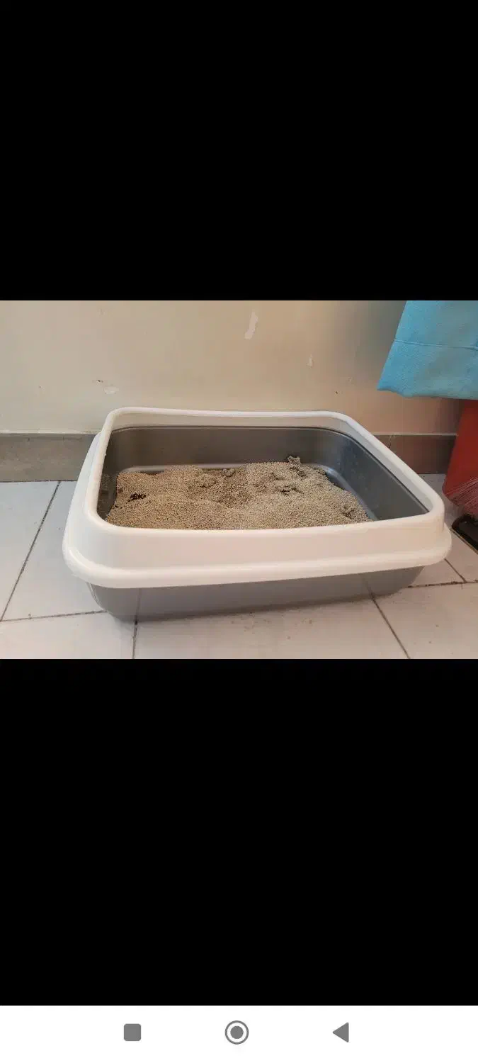 دو عدد ظرف خاک گربه|لوازم جانبی حیوانات|کرج, شهرک امام رضا (ع)|دیوار