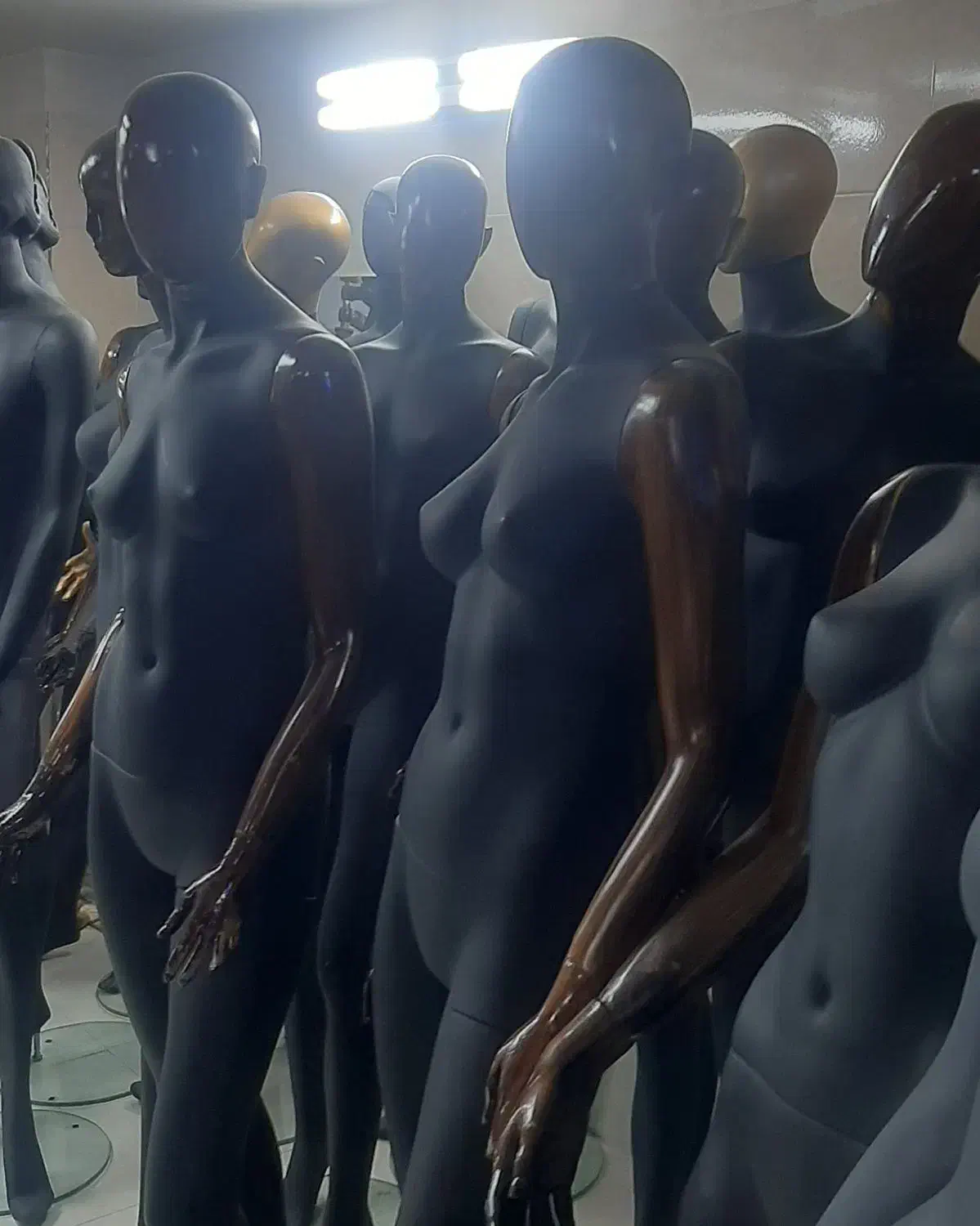 رگال وقفسه سوپری|فروشگاه و مغازه|فردیس, منظریه|دیوار