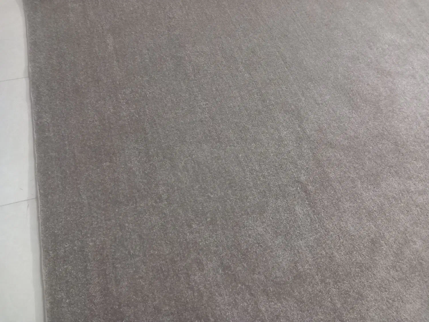 موکت پالاز|موکت|بجنورد, |دیوار