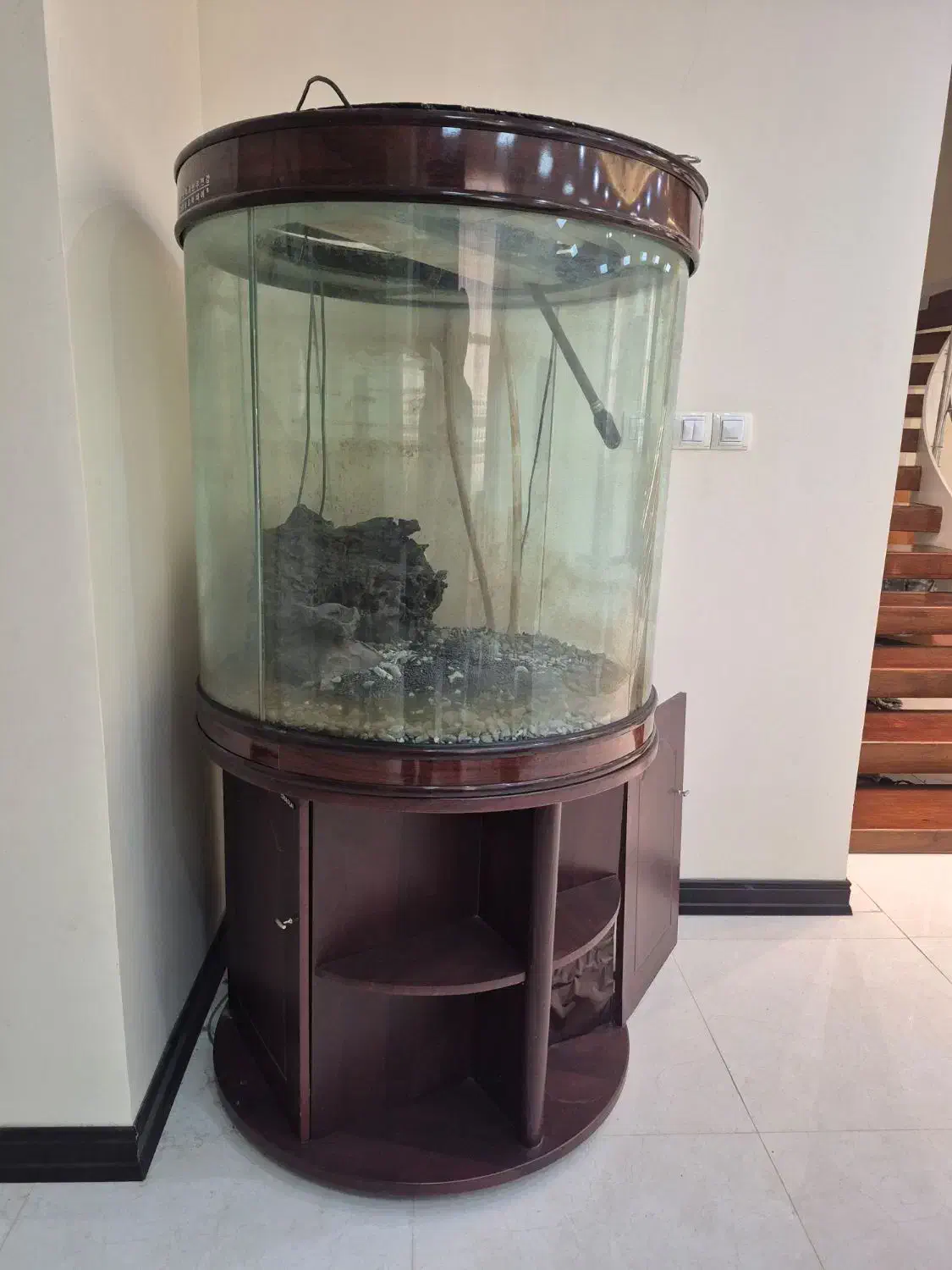 آکواریوم|ماهی|بندرعباس, |دیوار