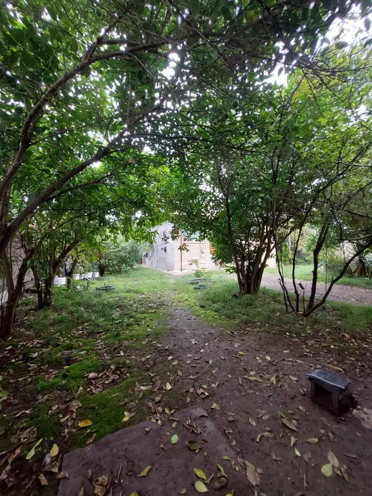 اجاره خانه ویلایی۵۰۰متری با۸۰ متر بنا در پاکت سازی|اجارهٔ خانه و ویلا|رشت, حومه رشت|دیوار