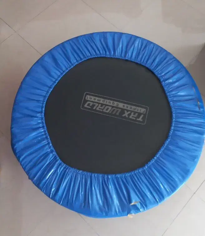 تعدادی دمبل، توپ جیم بال و ترامپولین|تجهیزات ورزشی|شیراز, هفت تنان|دیوار