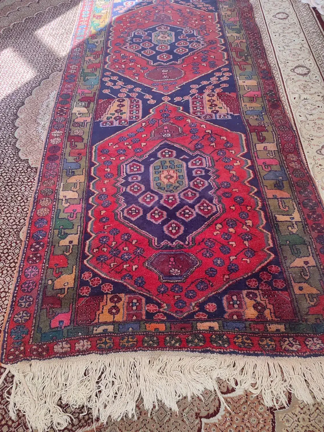 فرش قرمز|فرش|مراغه, |دیوار