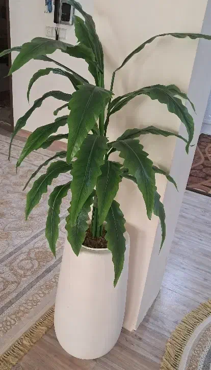 درختچه و۲گلدان|گل مصنوعی|اندیمشک, |دیوار