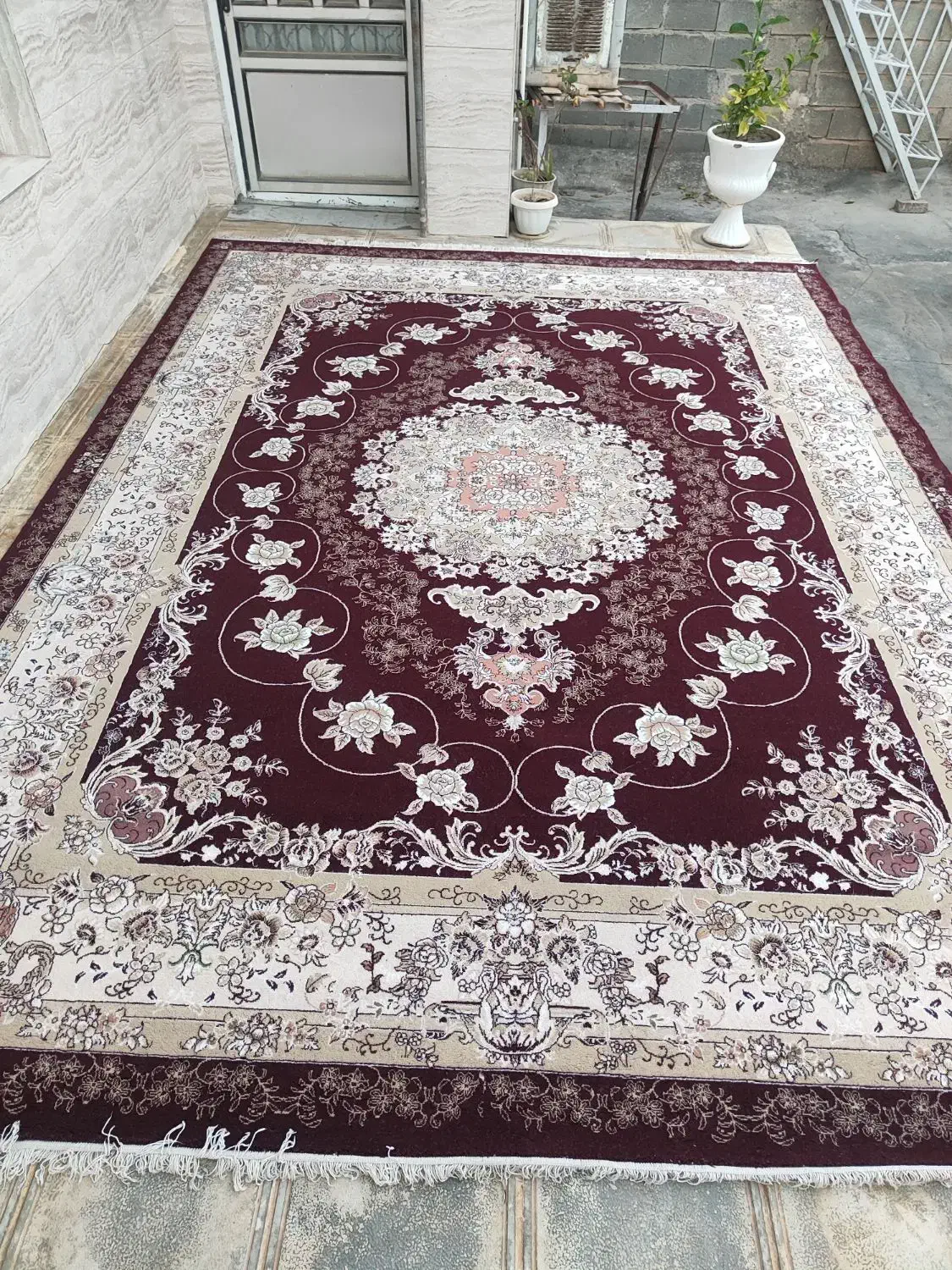 ۵تخته فرش ۱۲متری|فرش|سرپل ذهاب, |دیوار