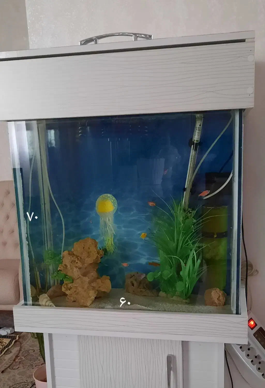 شیشه اکواریوم|ماهی|فردیس, شهرک ۱۱۰|دیوار