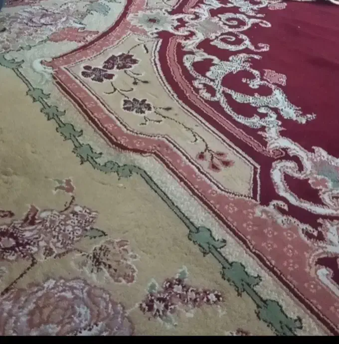 قالین ۱۲متر تمیز|فرش|تایباد, |دیوار