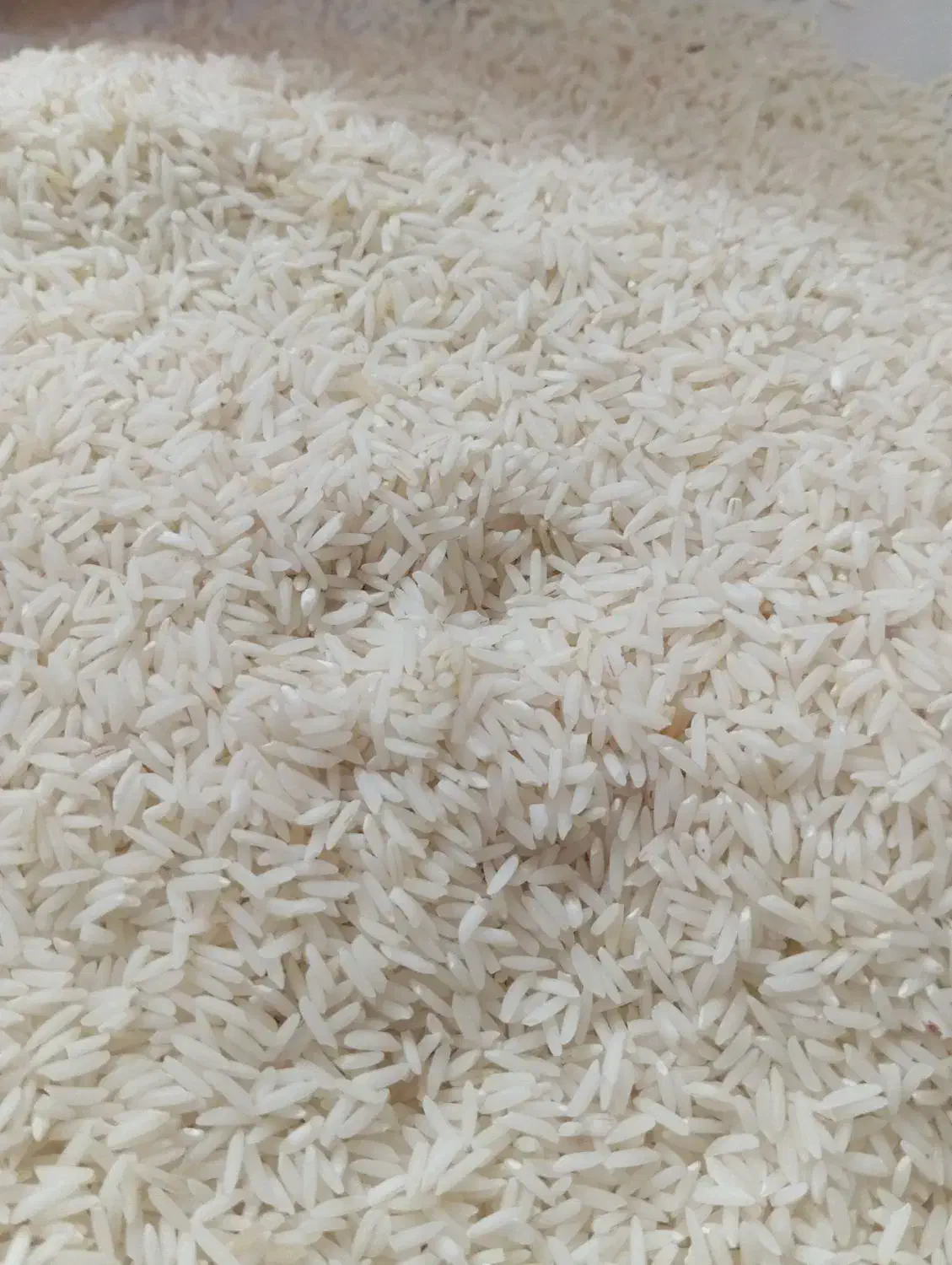 برنج هاشمی درجه یک  فقط بریز تو دیگ بپز|خوردنی و آشامیدنی|کوچصفهان, |دیوار