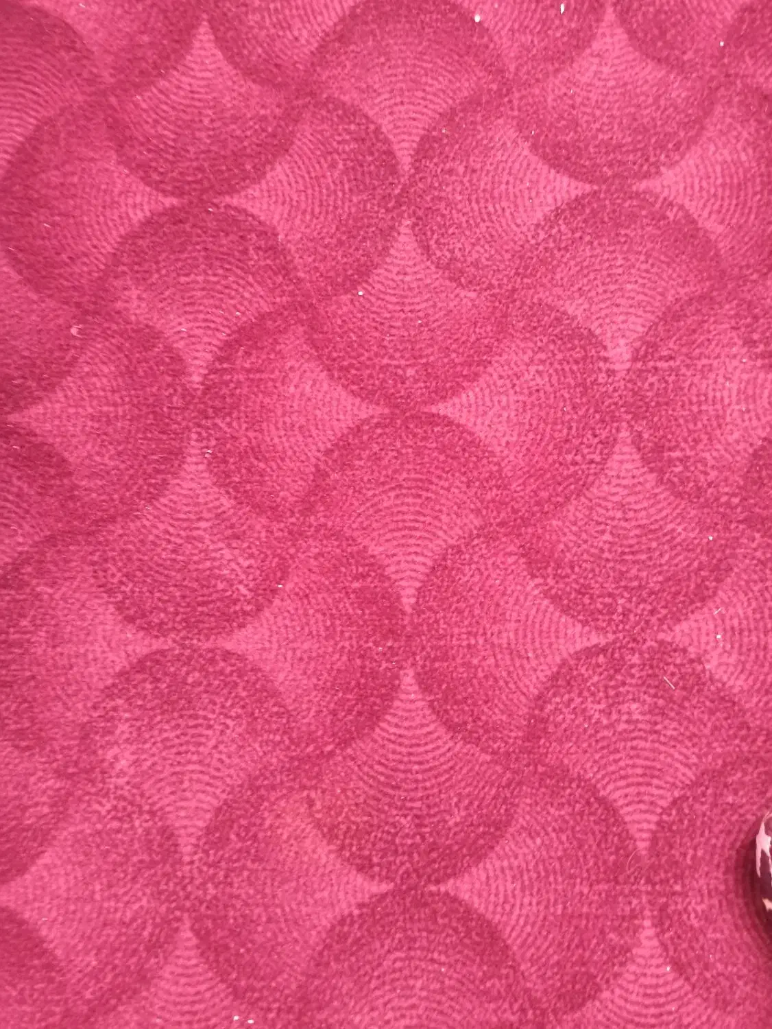 موکت|موکت|قزوین, |دیوار