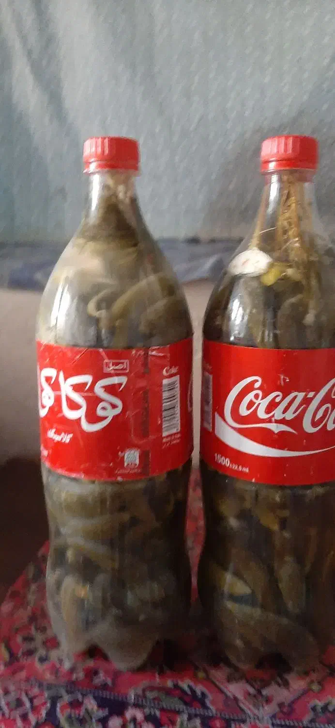 خیارشوربطری خانواده|عمده‌فروشی|لالجین, |دیوار