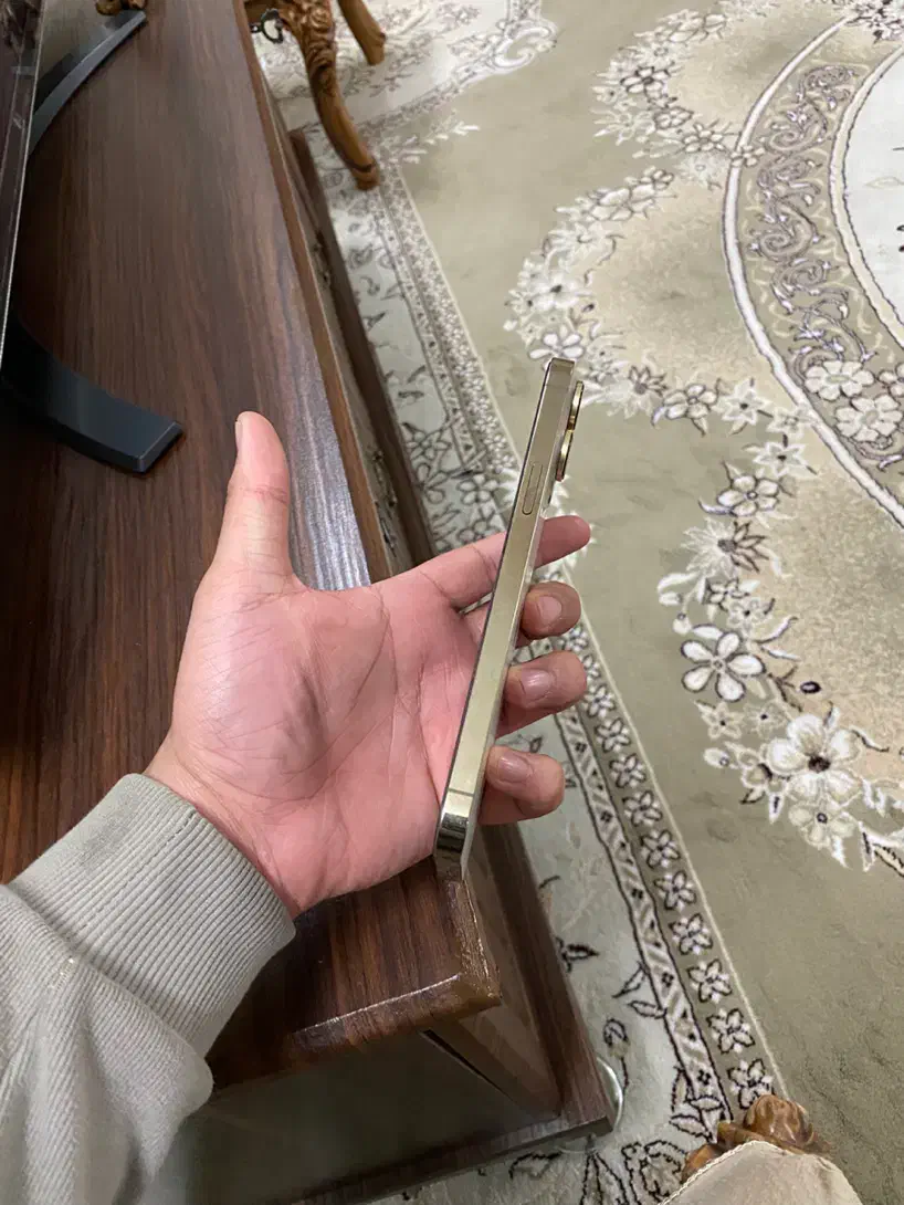 آیفون ۲۵۶ گیگ دو سیم iPhone 13 Pro Max|موبایل|بروجرد, |دیوار