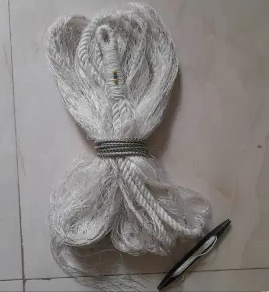 سهره تور|پرنده|ماهدشت, |دیوار