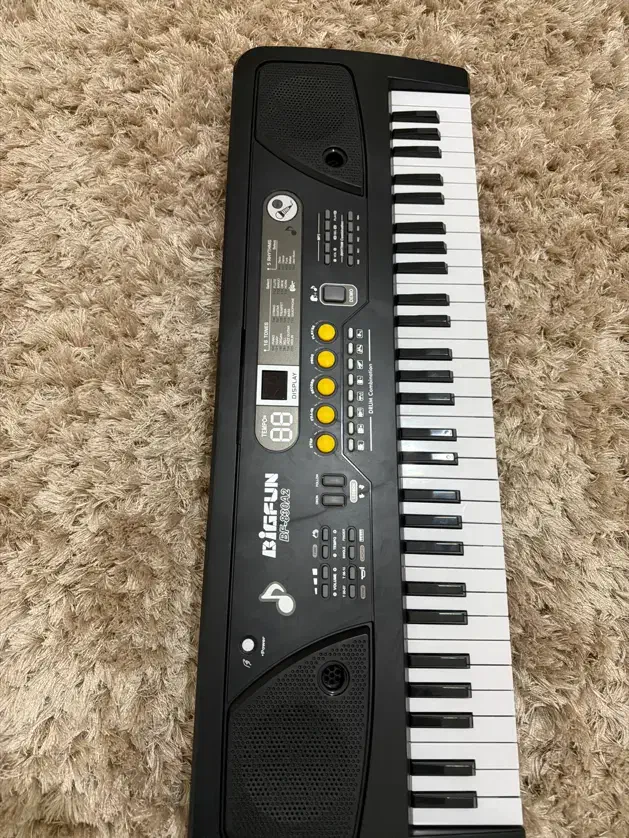 ارگ|پیانو، کیبورد، آکاردئون|ارشق, |دیوار