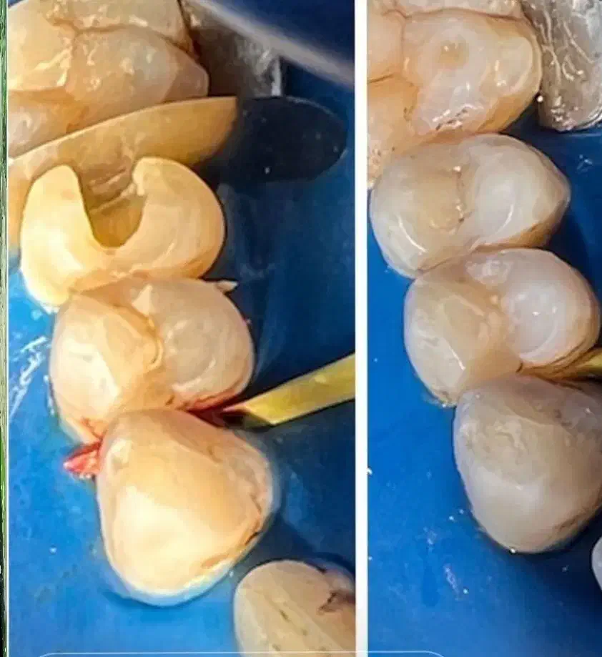 جشنواره خدمات دندانپزشکی|خدمات آرایشگری و زیبایی|تربت‌حیدریه, مسجد جامع|دیوار