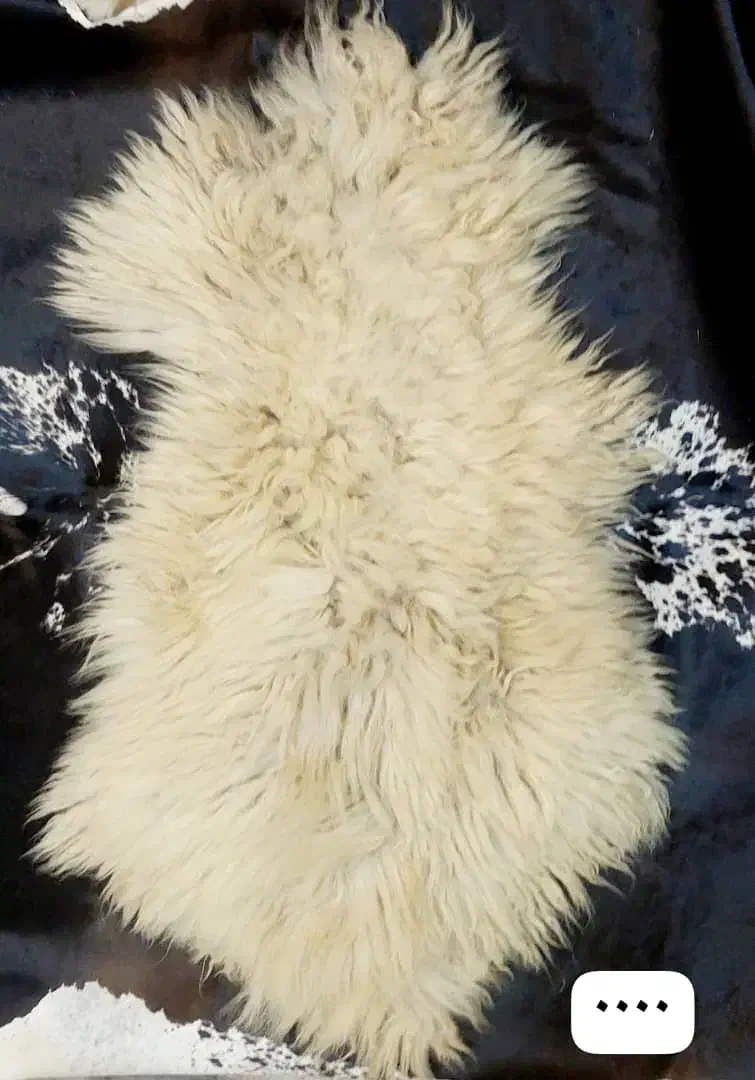 پوست مویی گوسفندی و بزی|آرایشی، بهداشتی، درمانی|قم, رضویه|دیوار