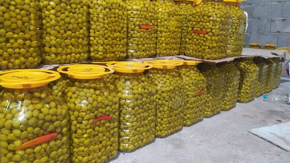 دبه پت خالی|ظروف نگهدارنده، پلاستیکی، یکبارمصرف|قم, شهرک خودرو|دیوار