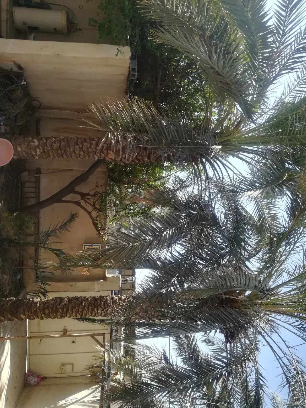 رهن منزل مسکونی کوچه پشت برج شکوه|اجارهٔ خانه و ویلا|برازجان, |دیوار