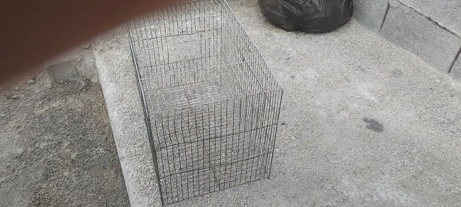 یک عدد قفس بزرگ قیمت۸۰|لوازم جانبی حیوانات|دوگنبدان, |دیوار