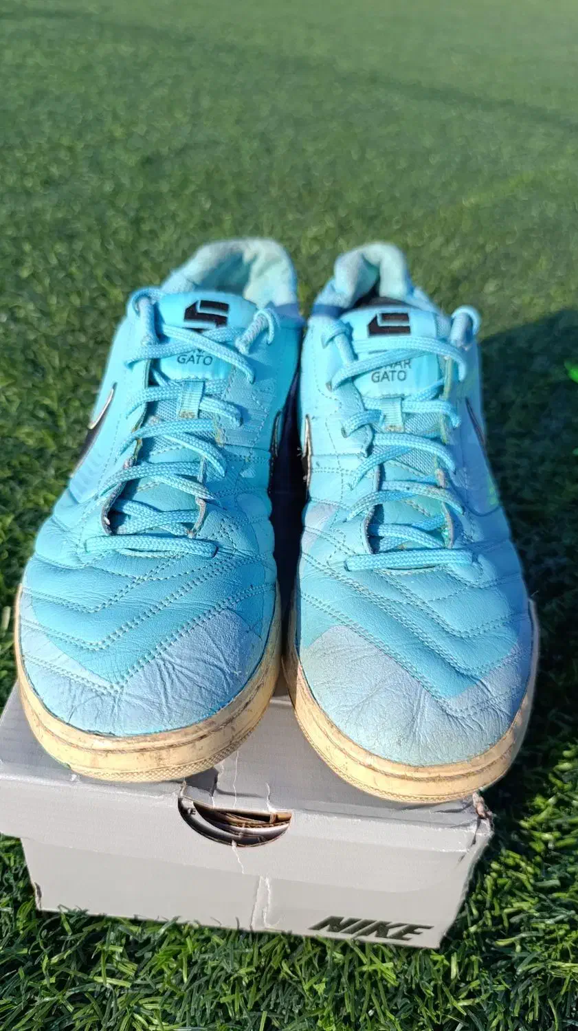 کفش فوتسال نایک گتو sb|کیف، کفش، کمربند|کرمان, |دیوار