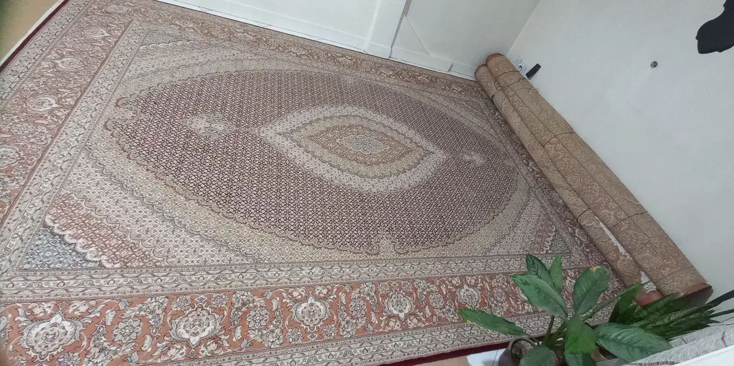 فرش۱۲متری ۵۰۰شانه|فرش|قدس, شهر‌قدس|دیوار