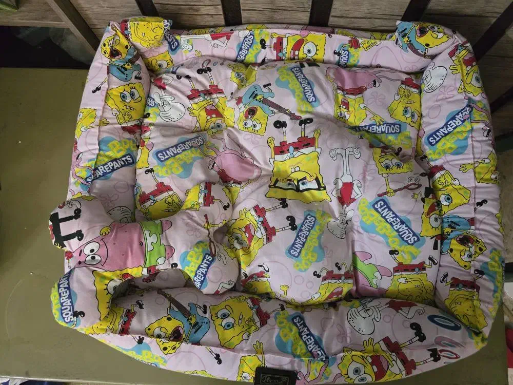 تشک گربه یا سگ|لوازم جانبی حیوانات|شیراز, جانبازان|دیوار