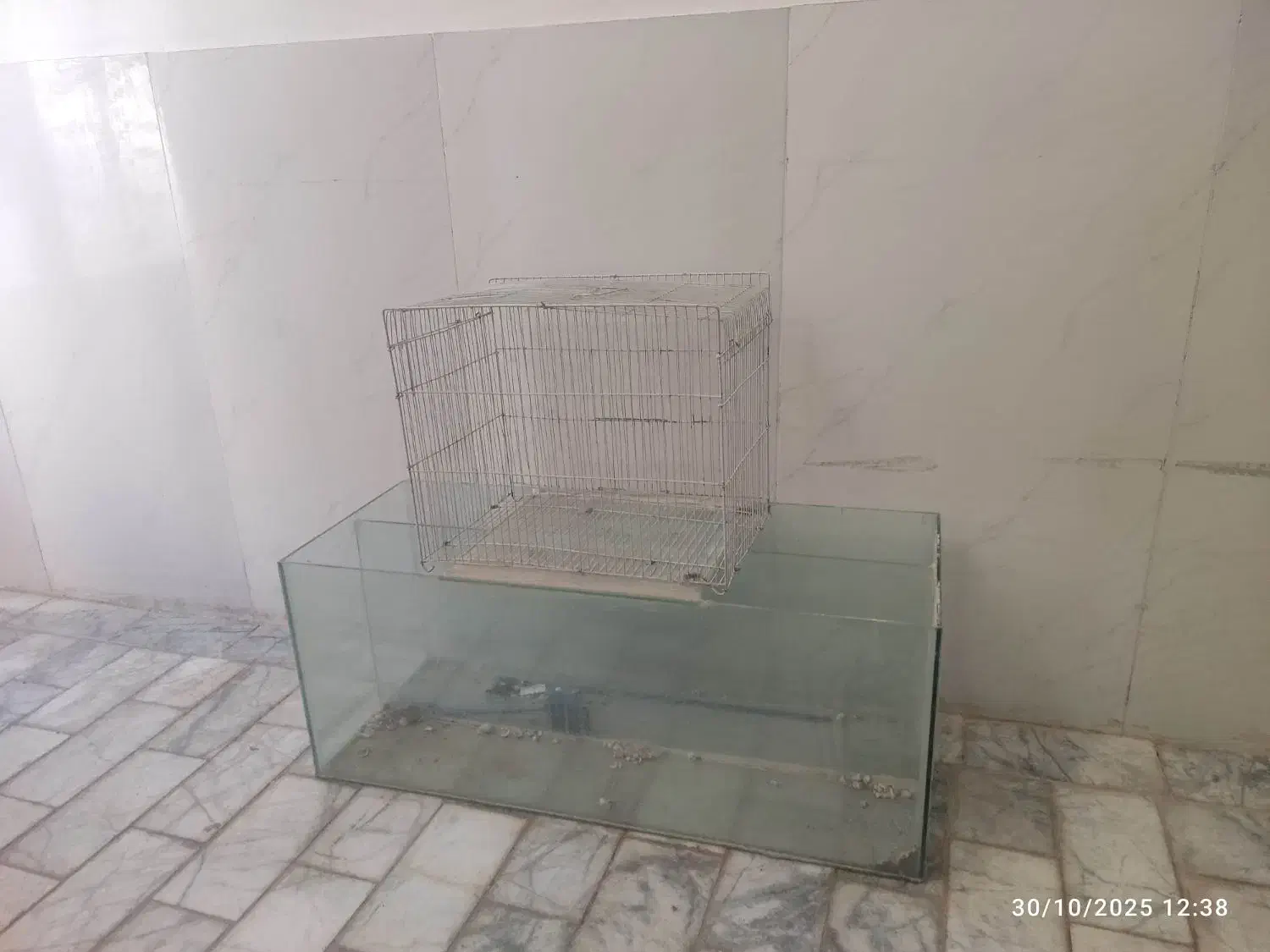 آکواریوم|ماهی|بیرجند, |دیوار