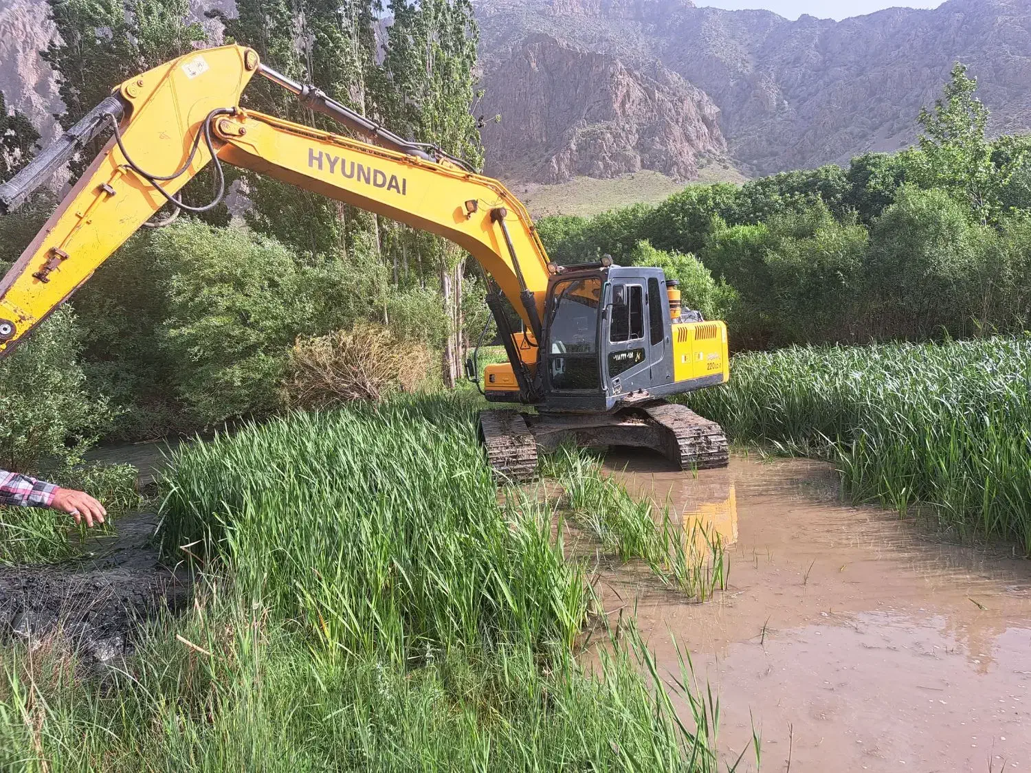 اجاره بیل مکانیکی|خدمات حمل و نقل|صحنه, |دیوار