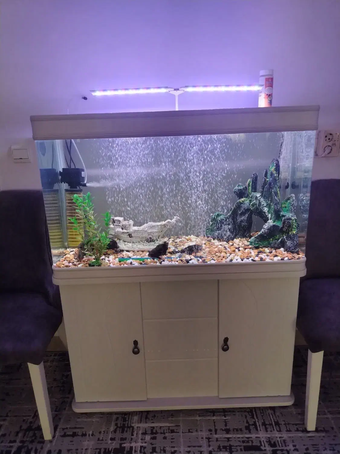 فروش آکواریوم شیک و تجهیز شده|ماهی|گرگان, |دیوار