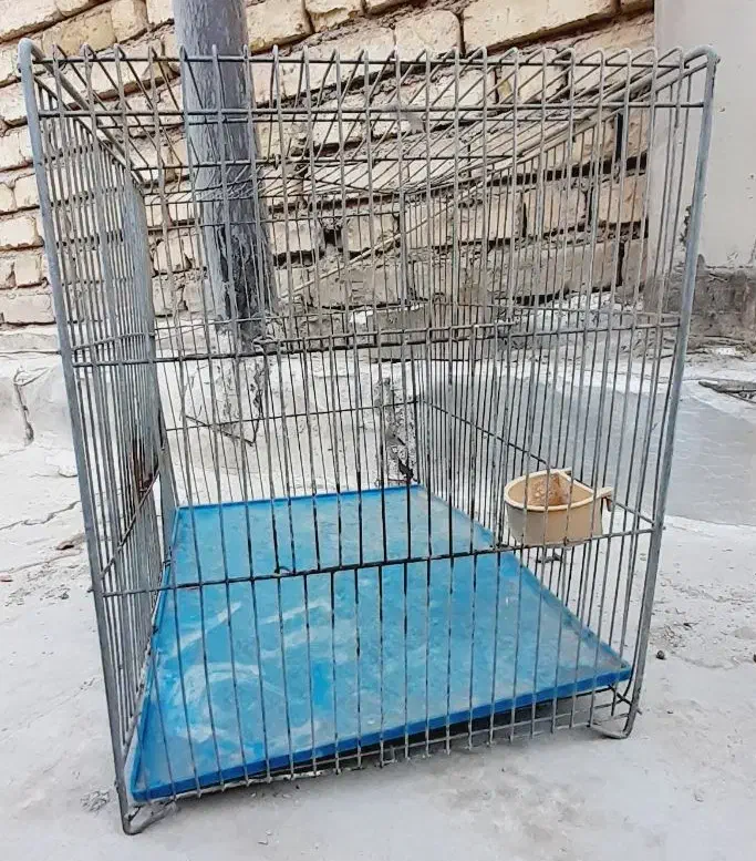 قفس پرنده|لوازم جانبی حیوانات|اصفهان, ارزنان|دیوار