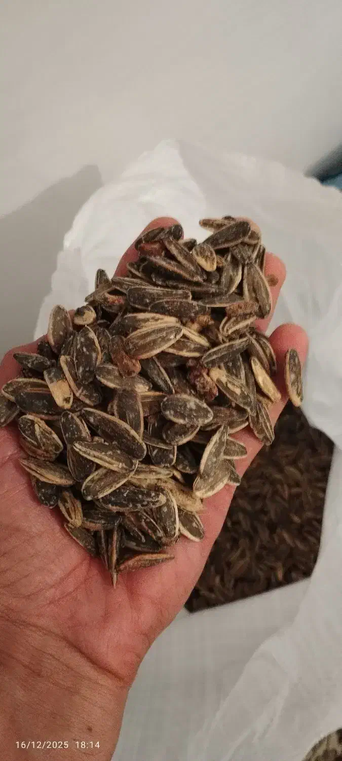 تگم|خوردنی و آشامیدنی|زرین دشت (همدان), |دیوار