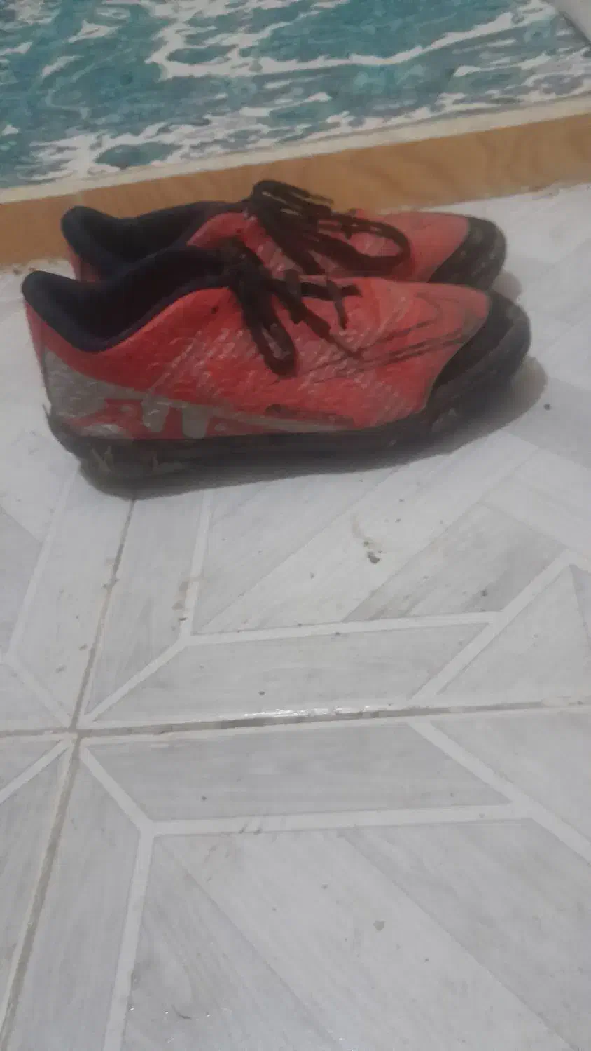 انواع کفش|کیف، کفش، کمربند|جوانرود, |دیوار