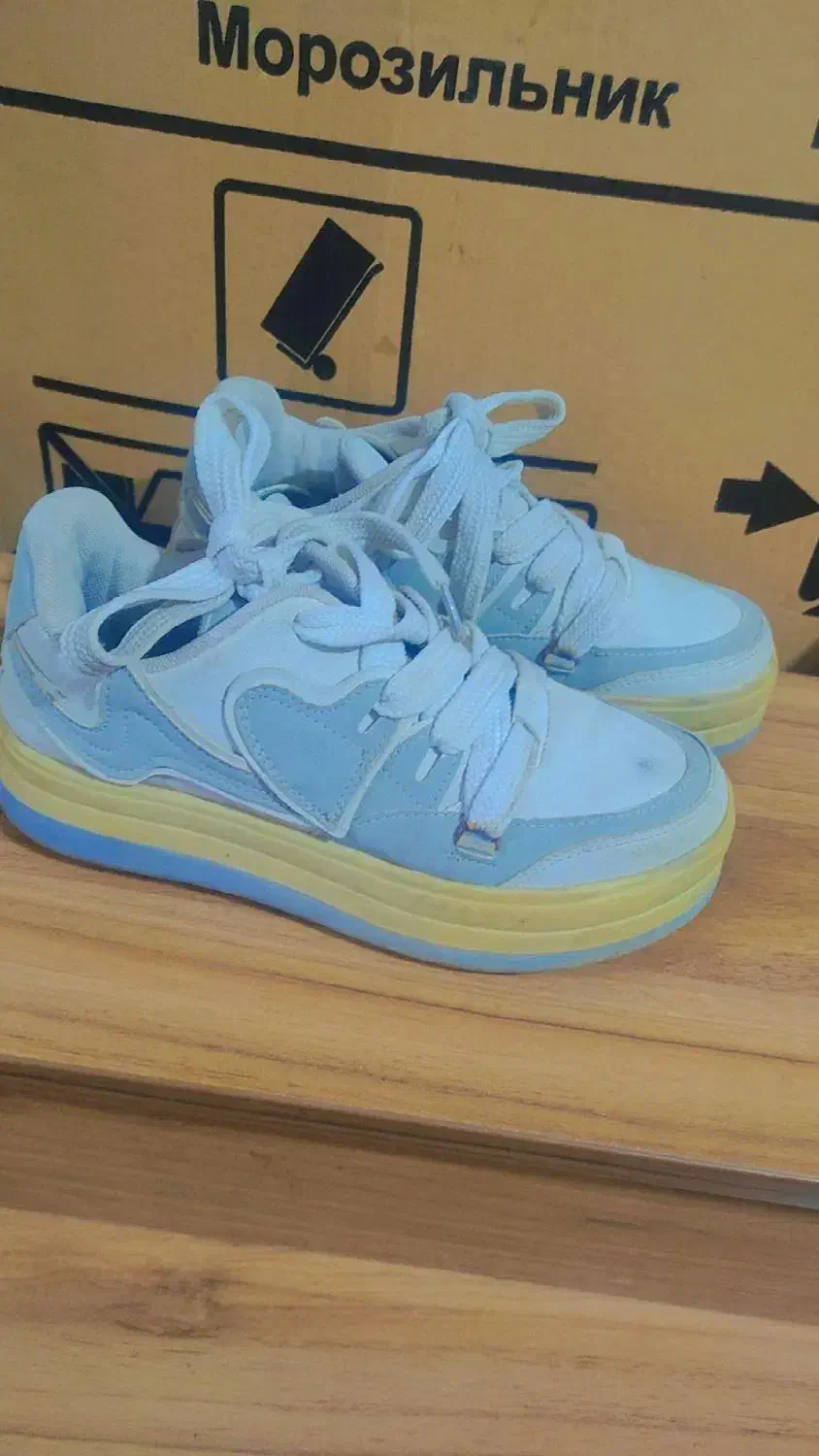 کفش|کیف، کفش، کمربند|گرگان, |دیوار