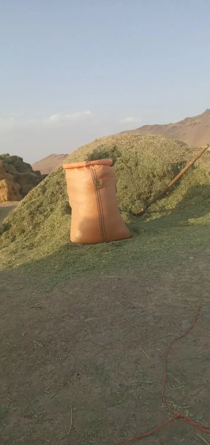 یونجه|خدمات باغبانی و درختکاری|قلقل رود, |دیوار