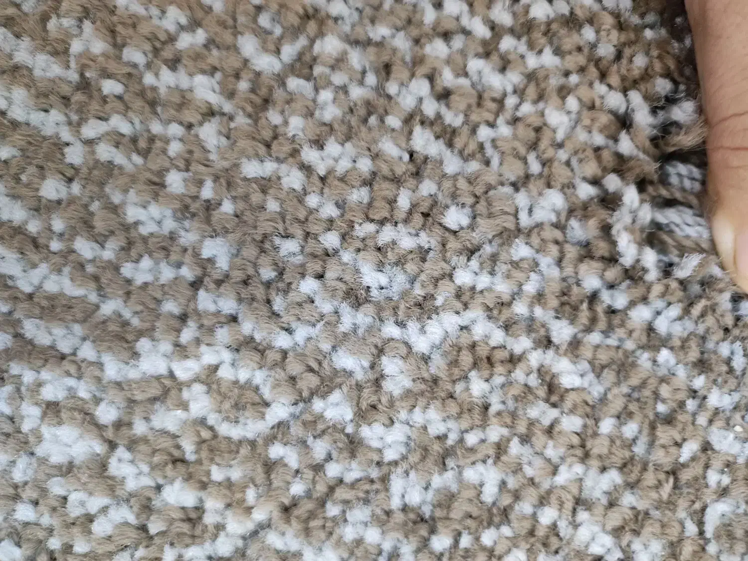 پالاز موکت نو با تراکم بالا|موکت|چمران, |دیوار