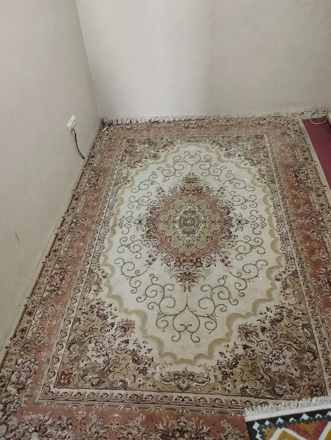 فرش 6 متری گل برجسته|فرش|بومهن, |دیوار