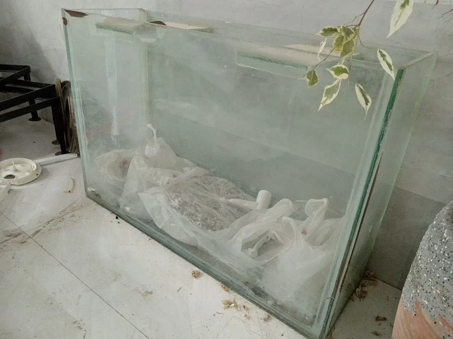 آکواریوم|کلکسیون و سرگرمی|محمدشهر, شهرک پیام (مهرالبرز)|دیوار