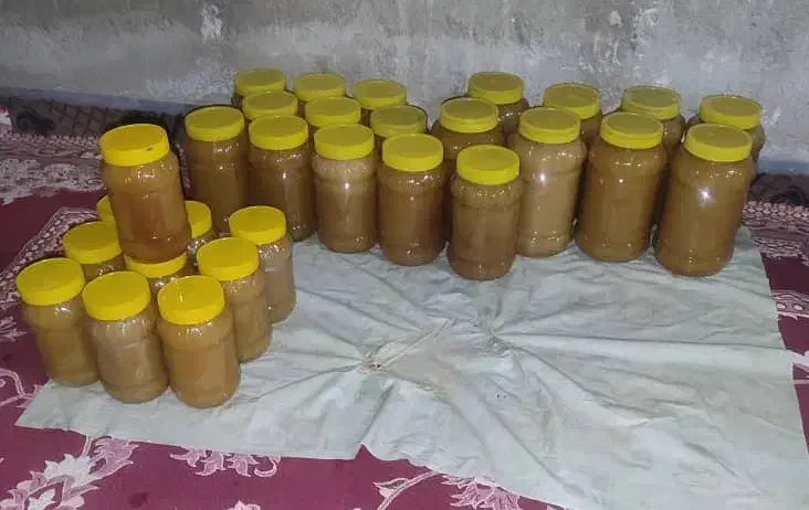 عسل کنار کندو|عمدهفروشی|فیروزآباد (فارس), |دیوار