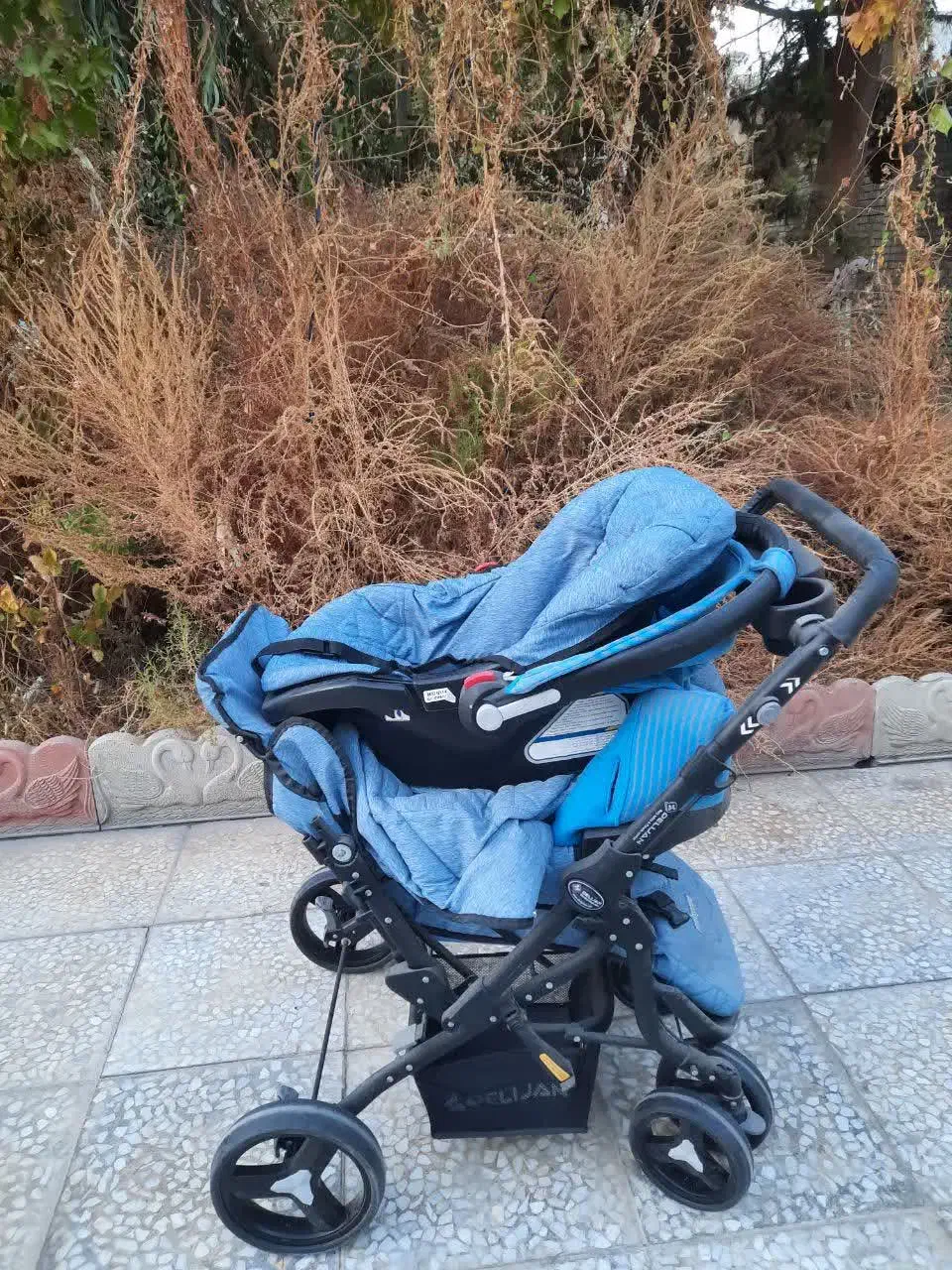 کالسکه نو|کالسکه و لوازم جانبی|فولادشهر, B1|دیوار