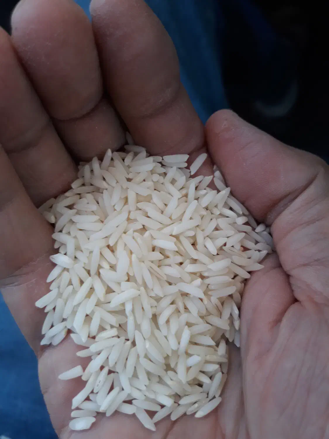 برنج اعلا فوق ممتاز|خوردنی و آشامیدنی|تهران, مرزداران|دیوار