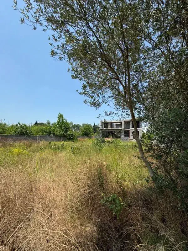 فروش زمین مسکونی شهرکی 600 متر در ماه فروز محله|فروش زمین و ملک کلنگی|آکند, |دیوار