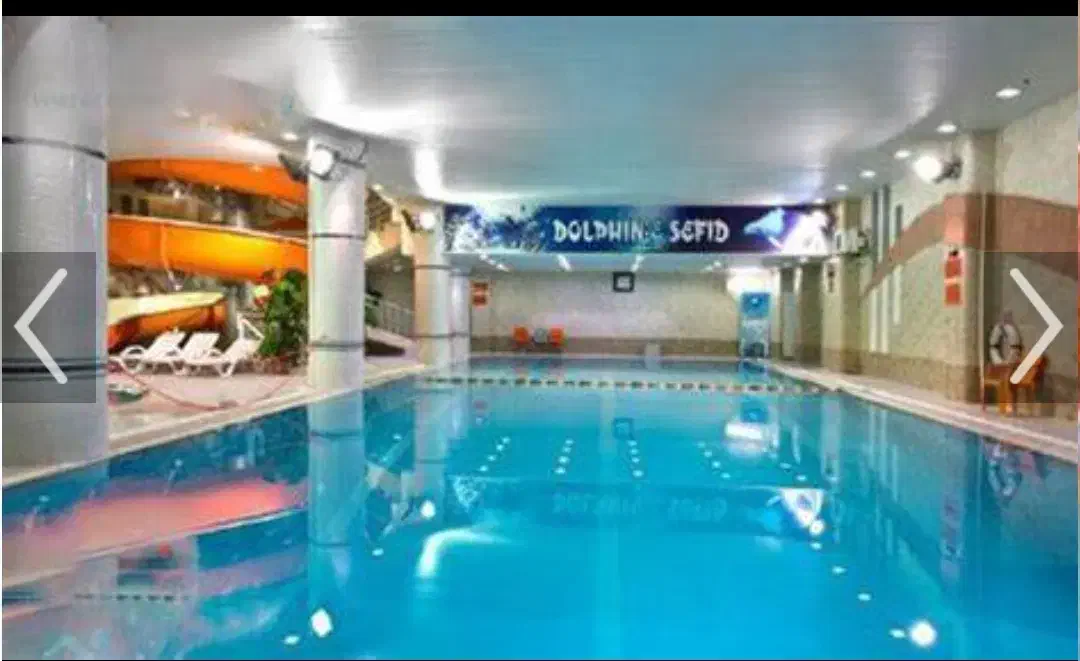 بلیط استخر دلفین سفید|بلیت ورزشی|تبریز, |دیوار