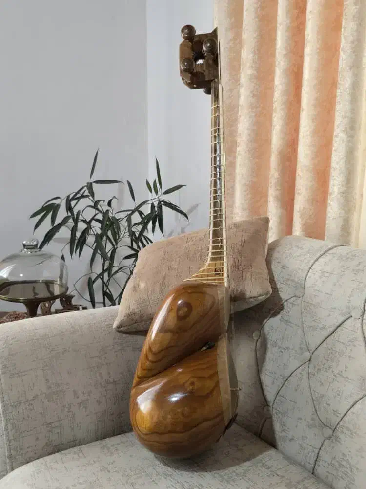 تار حرفه‌ای ساخت استاد «پویا زارعی» - مدل ۱۴۰۰|سازهای سنتی|چالوس, |دیوار