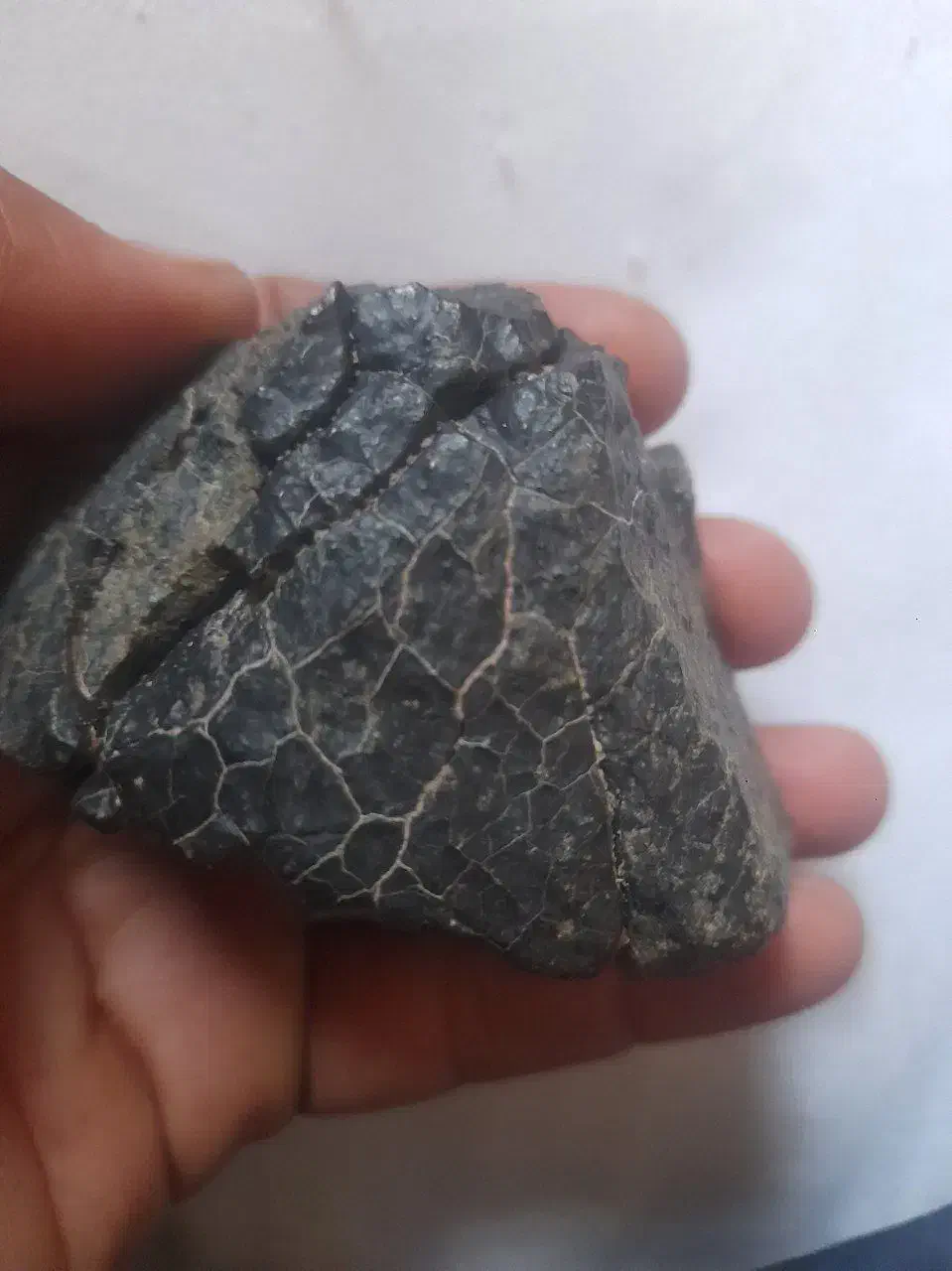 شهاب سنگ|کلکسیون اشیاء عتیقه|زاهدان, |دیوار