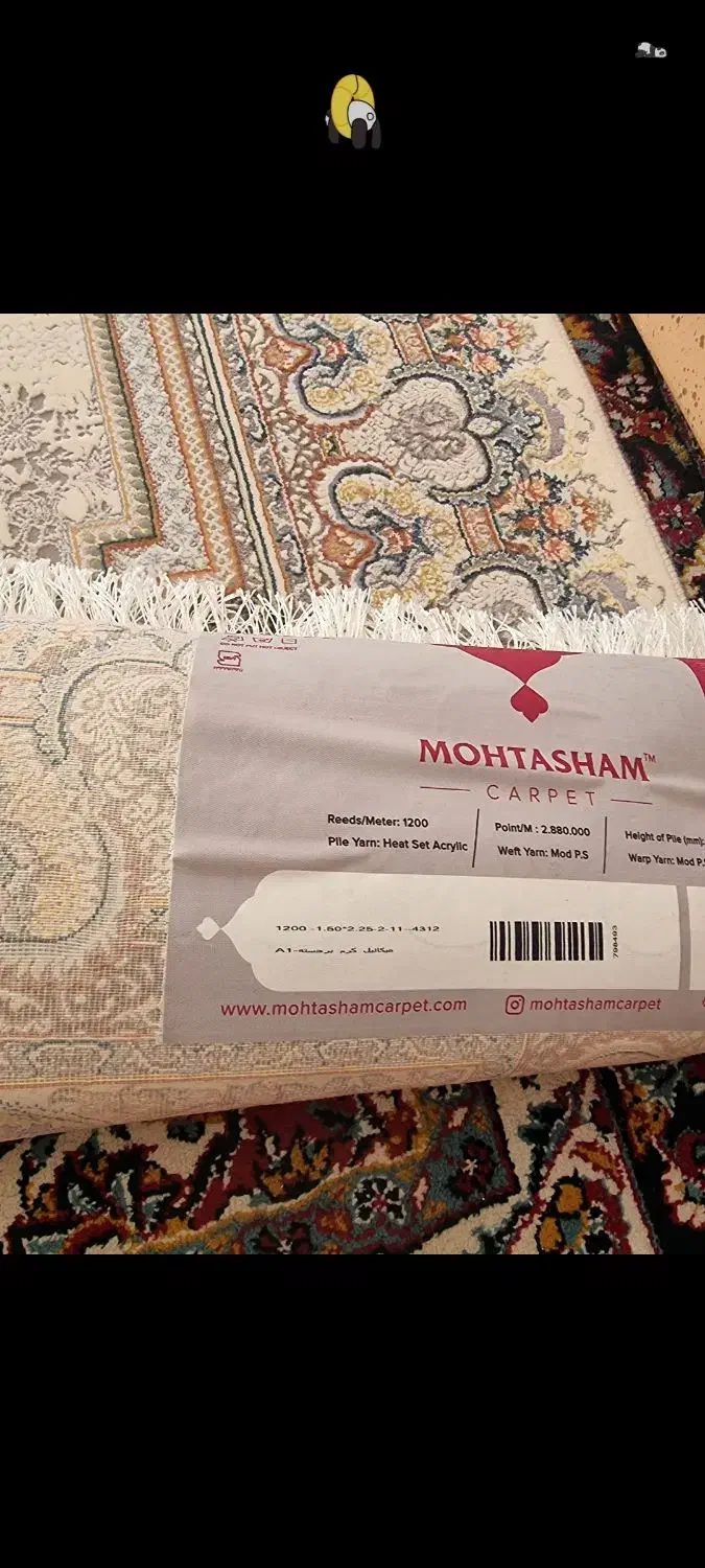 فرش ۹ متری مناسب جهیزیه|فرش|مشهد, فتح المبین|دیوار