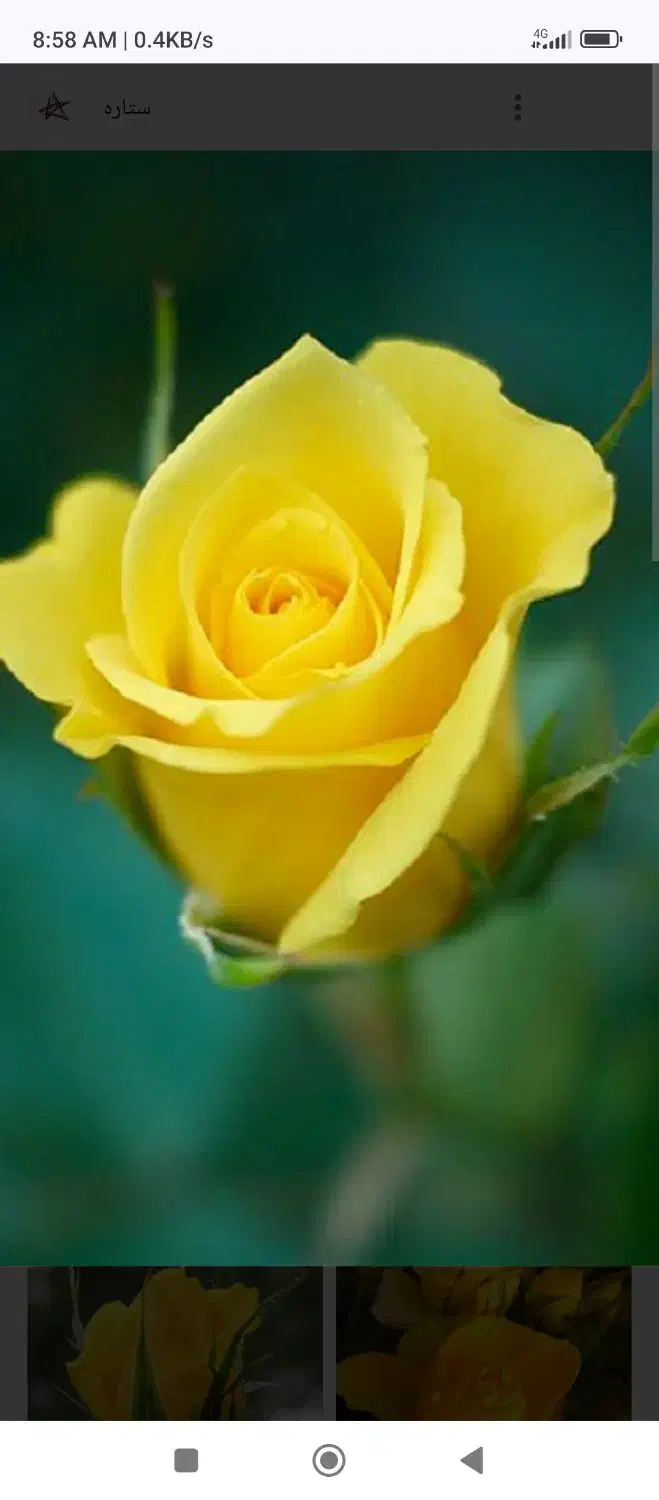 اقاهستم کارهای نظافت و تمیز کردن منزل انجام میدم|خدمات نظافت|سیرجان, |دیوار