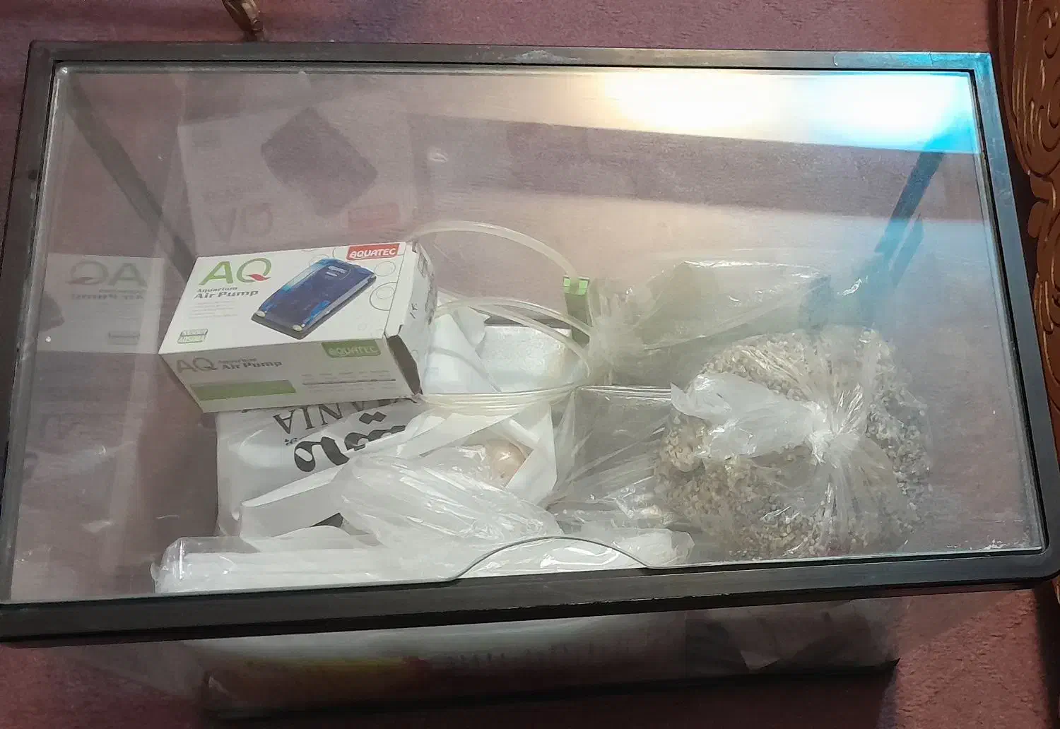 آکواریوم|ماهی|قم, شاه احمد قاسم|دیوار