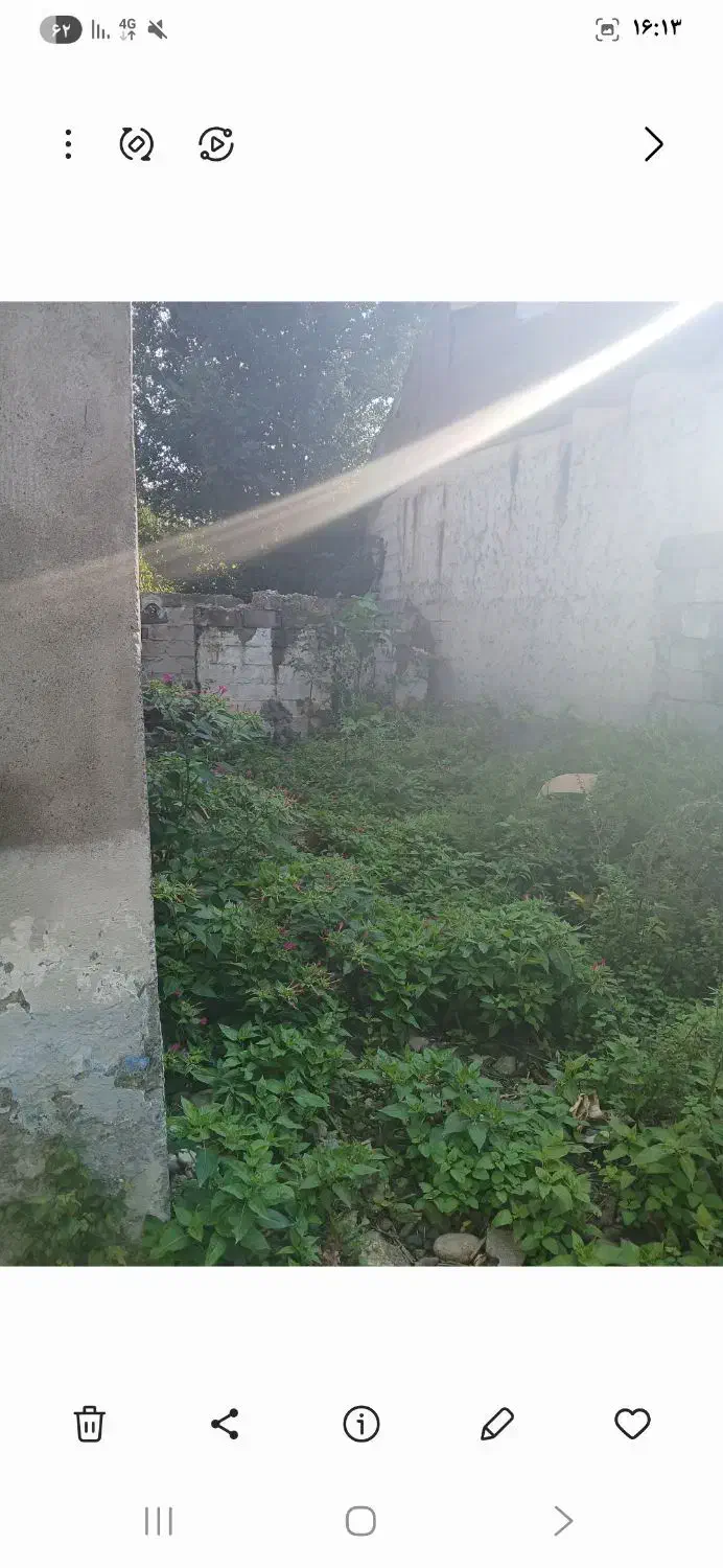 ۳۱۶زمین دردانشگاه لاهیجان|فروش زمین و ملک کلنگی|لاهیجان, کوی استادان|دیوار